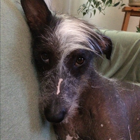 Meet your Posher, Jenee - Picture 2 of 2